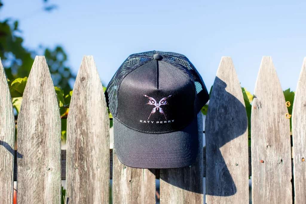 Katy Perry Hat copy